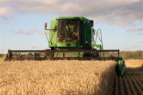 Photo Combine Harvester Agricultural Machinery Wheat Fields