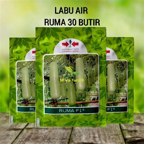 Jual BENIH BIBIT TANAMAN SAYUR LABU AIR RUMA 30 BUTIR SP CAP PANAH