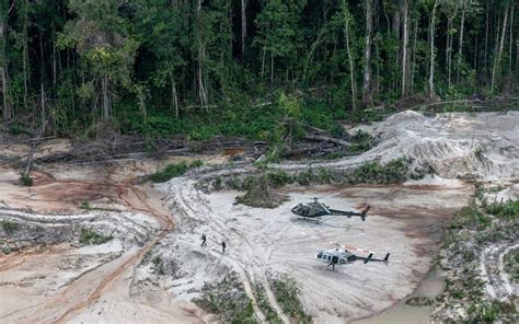 Deforestación de la Amazonia brasileña alcanzó su cifra más baja de los