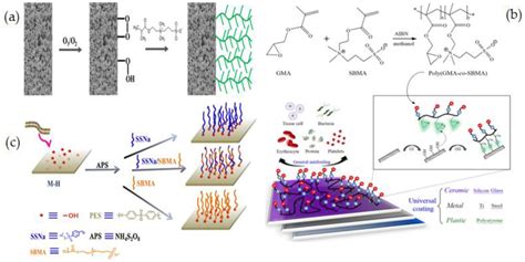 Membranes Free Full Text Impact Of Membrane Modification And