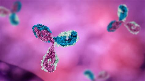 Unlocking the Functional Antibody Repertoire | Technology Networks