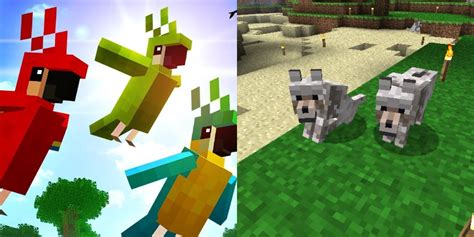 What Are The Cutest Animals In Minecraft