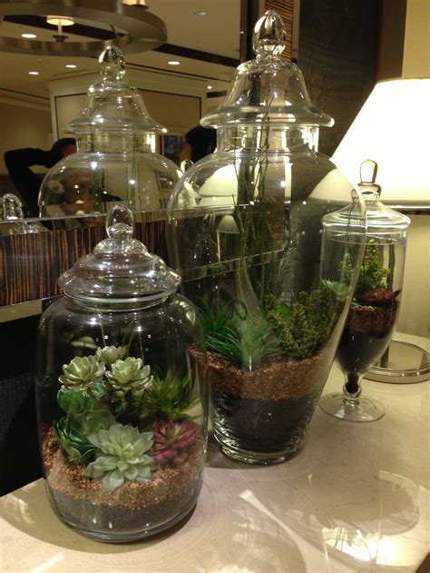 Plants In A Jar Plants In Jars Apothecary Jars Decor Apothecary Decor