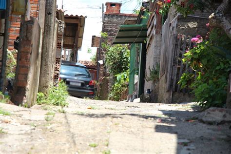 Morte De Gatos Coloca Em Alerta Moradores Do Bairro Ideal Em Novo