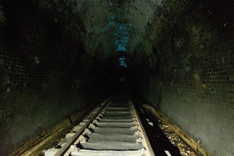 Glow Worms In An Abandoned Railway Tunnel Australia Oc 6000 X 4000