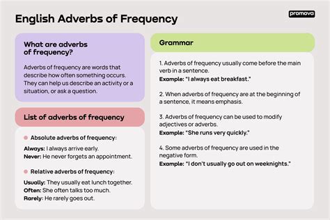 Adverbs Of Frequency In English Verloop Io