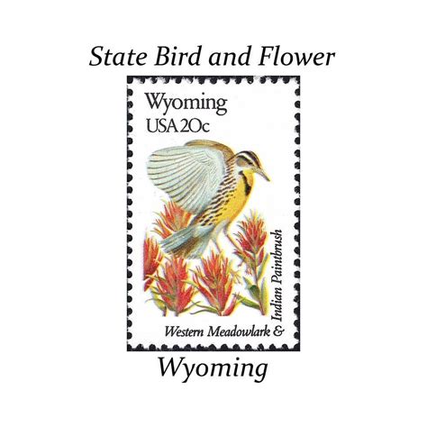 Five 20c Wyoming State Bird And Flower Stamp Vintage Unused Etsy