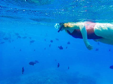 Snorkel Maui Cruise Review The Best Snorkel Cruise To Molokini