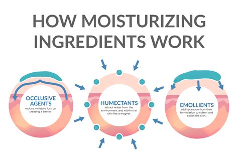 Daytime Vs Nighttime Moisturizers Do They Really Work Artofit