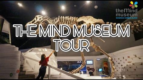 The Mind Museum Tour Youtube