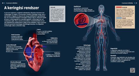 The Circulatory System 디지털 교재 Mozaik 디지털 교육과 공부