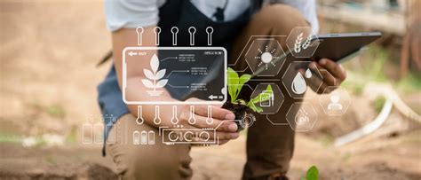 Key Benefits Of Iot In Agriculture And Smart Farming Codiant Blog