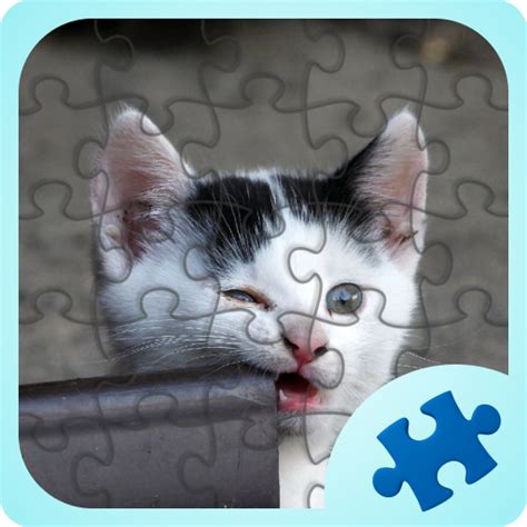 Funny Animals Jigsaw Puzzles - Apps on Google Play