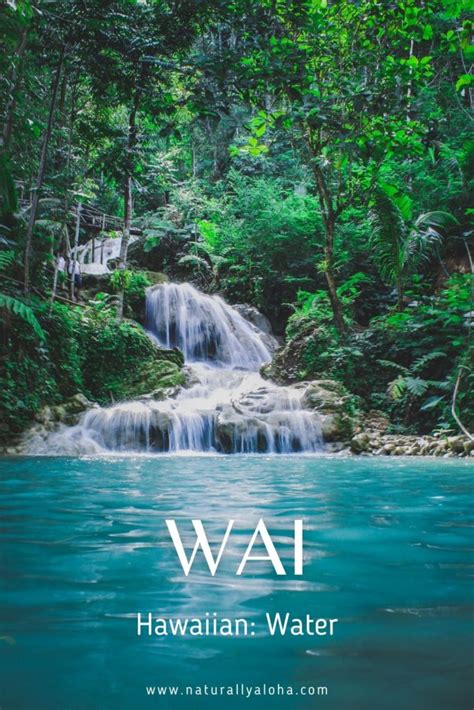 How To Say 5 Aesthetic Hawaiian Water Words Naturally Aloha