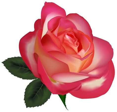 Best Roses Flower Clip Art Pink Roses Flowers Png Png Download 4000