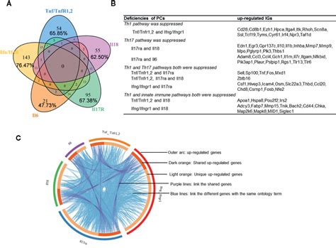 Frontiers Approaching Inflammation Paradoxesproinflammatory Cytokine