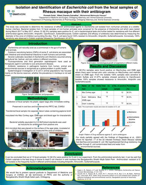 PDF Isolation And Identification Of Escherichia Coli From The Fecal