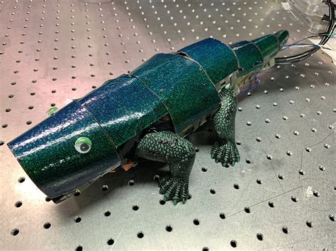 Chameleon-like: Scientists create color-changing artificial 'skin
