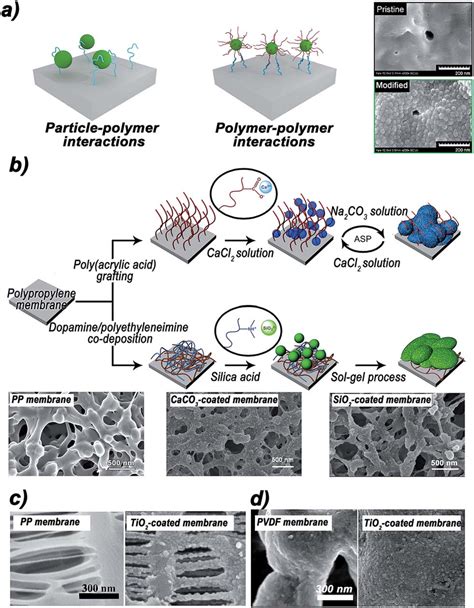 A Two Suggested Interaction Models For Surface Modification By Download Scientific Diagram