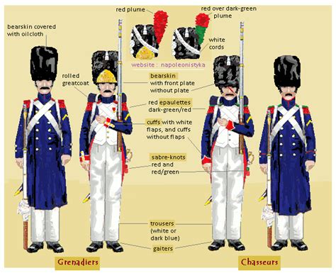 Napoleon's Old and Young Guard Infantry : Uniforms : Organization : Weapons