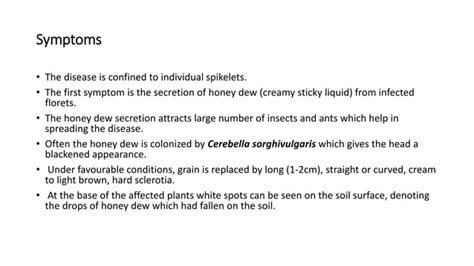 Diseases Of Sorghum Ppt