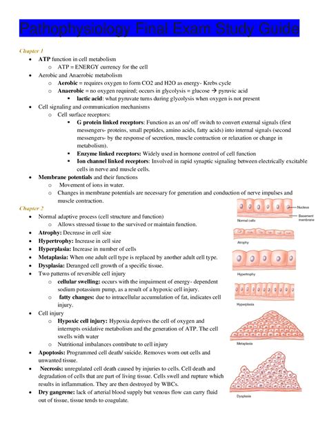 Pathophysiology Final Exam Study Guide Nr Advanced