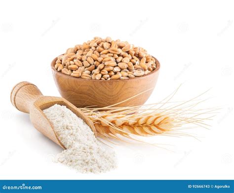 Whole Grain Wheat Flour Isolated On White Stock Image Image Of