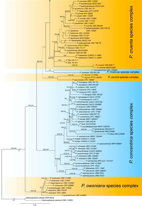 Figure A Phylogram Generated From Raxml Analysis Based On Combined