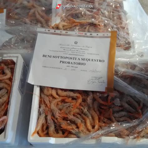 Lesina Cibo Mal Conservato Sequestrati 26 Kg Di Prodotti Ittici