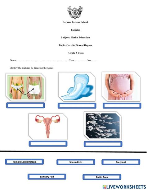 Reproductive Organ Worksheet Live Worksheets