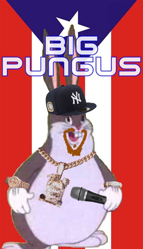 Best R Chungus Images On Pholder Im Gay