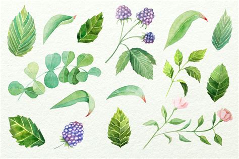 Watercolor Floral Diy Set By Larysa Zabrotskaya Thehungryjpeg