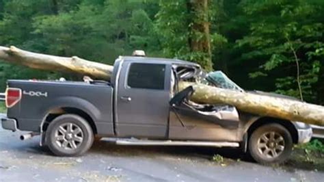 Photos Of Bizarre Pickup Crash With Fallen Tree Go Viral Lexington