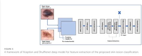 Figure From A Novel Framework Of Multiclass Skin Lesion Recognition