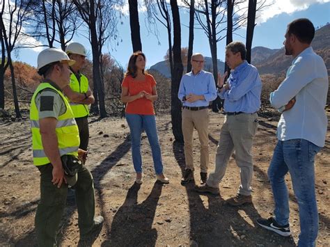 La Junta inicia obras emergencia regeneración Sierra de Mijas