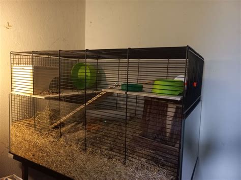 Hamster enclosure upgrade! : r/hamsters