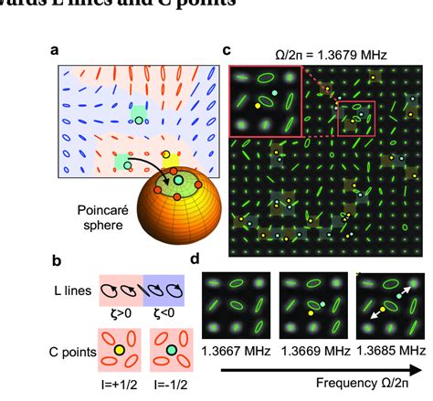 Topological Singularities In Mechanical Polarization Patterns A B