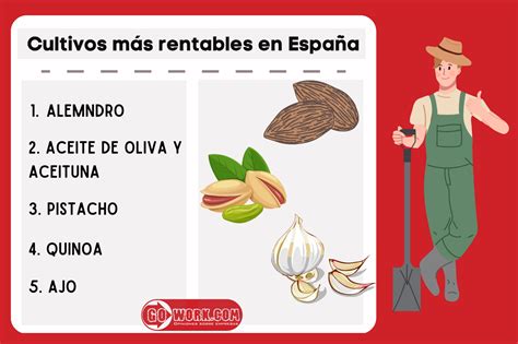 Cultivos más rentables en España Te contamos todo Blog GoWork ES