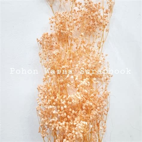 Jual ECER Preserved Dried Baby Breath Flower Bunga Kering Baby