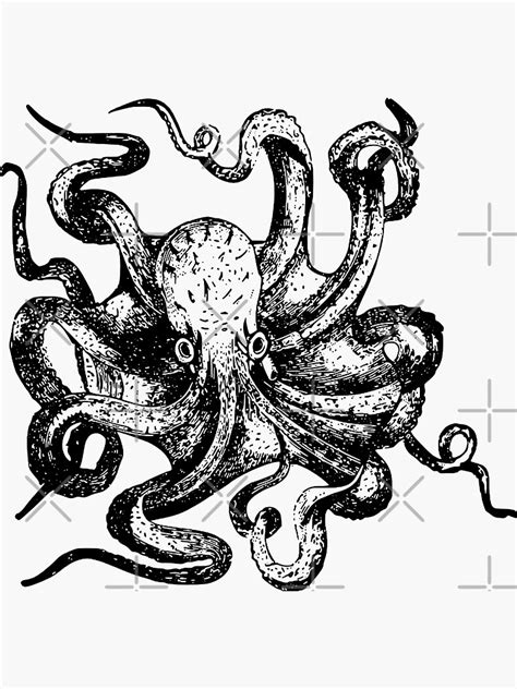 Octopus Sticker For Sale By Br87art Redbubble