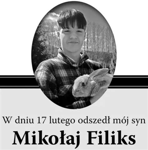 Mikolaj Filiks Dago Fotogallery