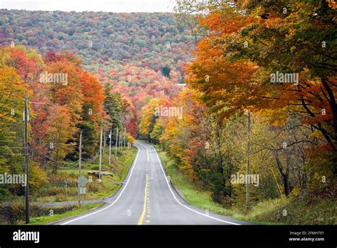 Canaan Valley Wv Hi Res Stock Photography And Images Alamy