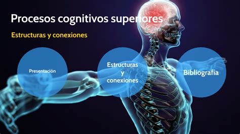 Procesos Cognitivos Superiores By Flakita Flores On Prezi