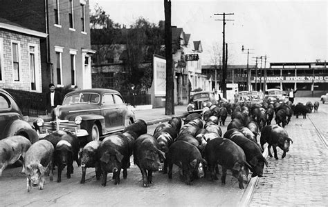 Butchertown History Book Reveals Neighborhoods Hidden Heritage