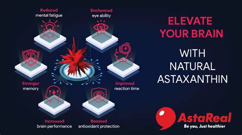 Astareal Astaxanthin Helps As A Nootropic For Your Brain Infographic