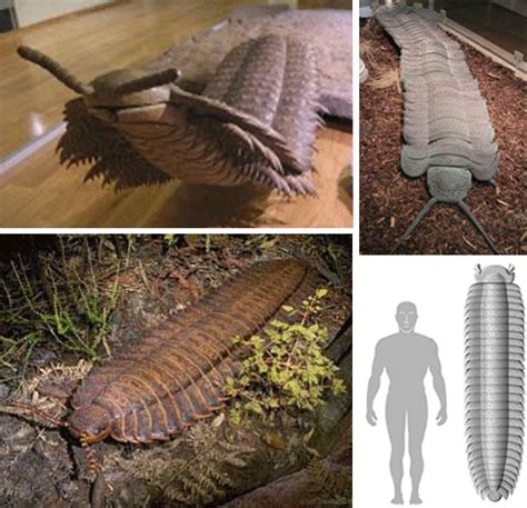 Massive Prehistoric Insects Were Horrific Looking – Page 2 – Sick Chirpse