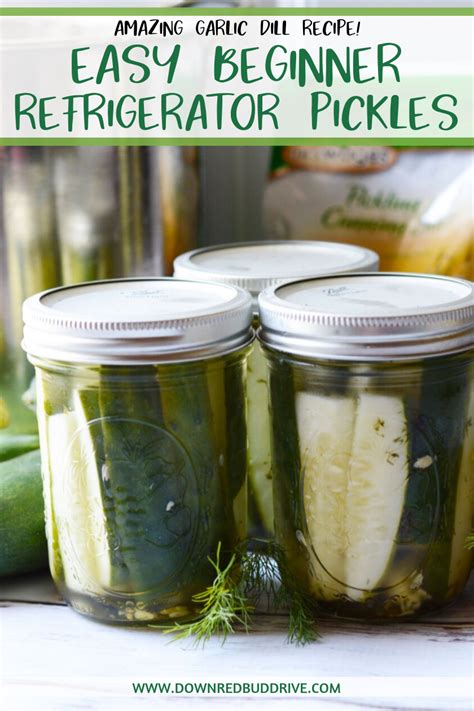 Quick Easy Refrigerator Pickles Artofit