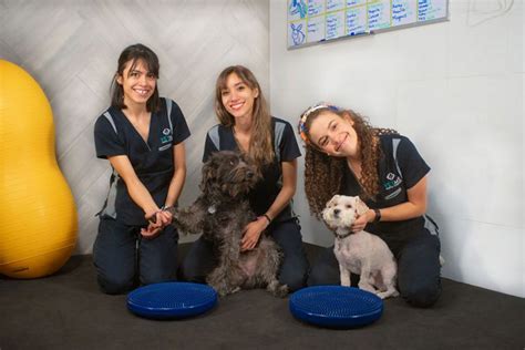 Hospital Veterinario Cdmx Vetme Hospital Veterinario Hrs