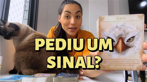 Receba Sua Mensagem A Resposta Que Voc Pediu Youtube