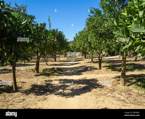 Valle Giardino Hi Res Stock Photography And Images Alamy